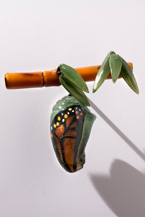 Bamboo Chrysalis