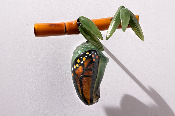 Bamboo Chrysalis