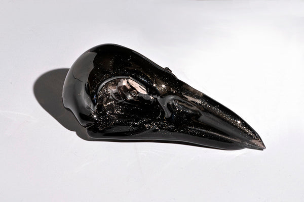 Dichro Bird Skulls