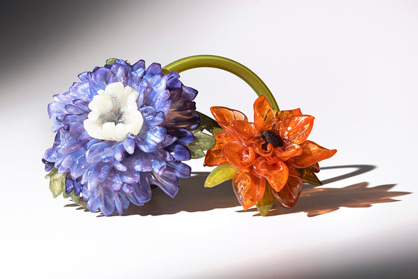 Purple and Orange Dalias