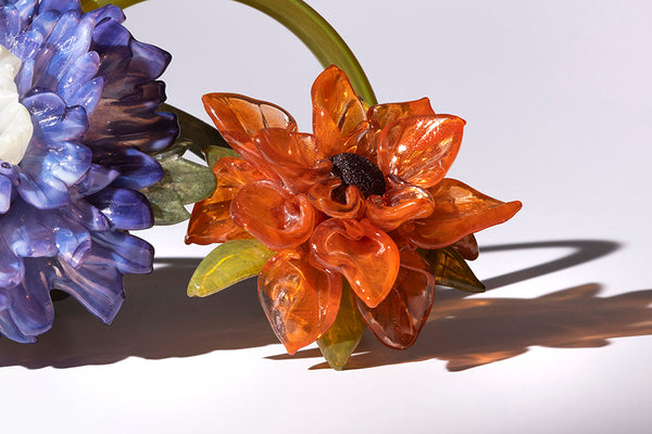 Purple and Orange Dalias