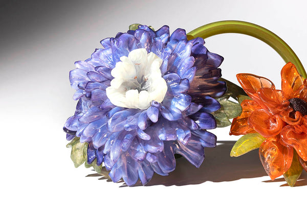 Purple and Orange Dalias