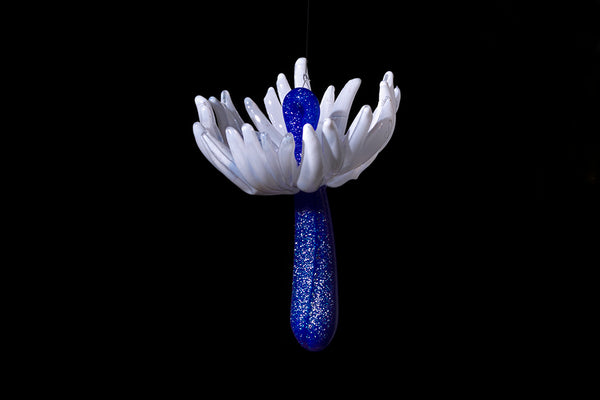 Wishes (Seed Ornaments)