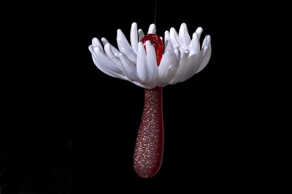 Wishes (Seed Ornaments)