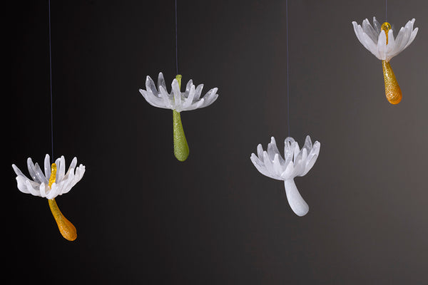 Wishes (Seed Ornaments)