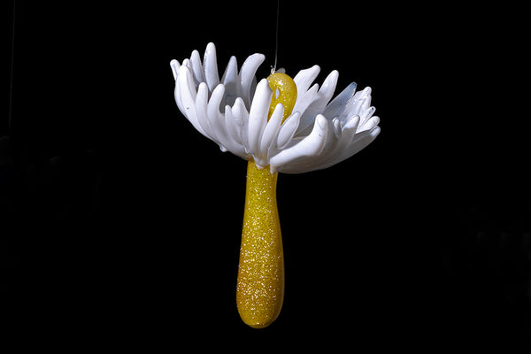 Wishes (Seed Ornaments)