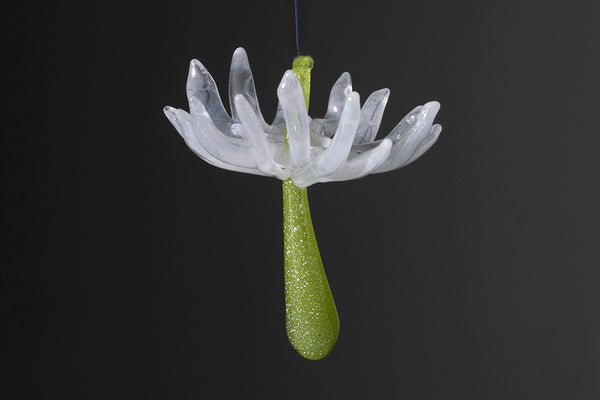 Wishes (Seed Ornaments)