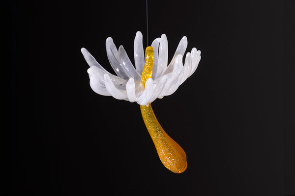 Wishes (Seed Ornaments)