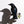 Magnolia Crow